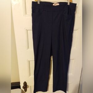 Every story pant SZ 14 blue